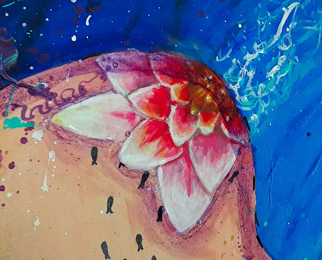 Pink water lily