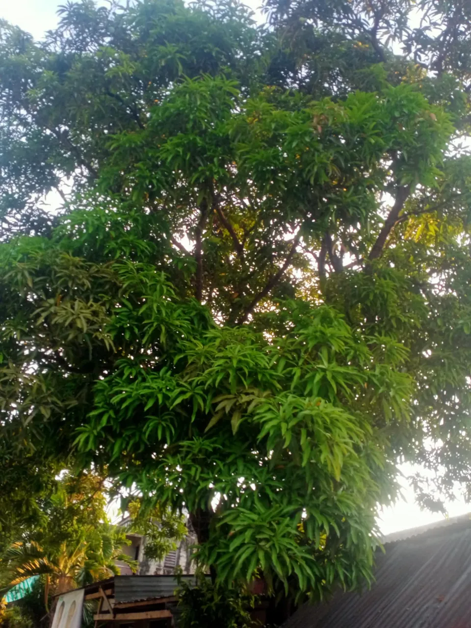 c3c21408-68e6-4315-8bf2-c76eeb31e5bb.jpg
