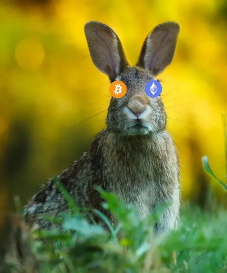 rabbit - Copy.png