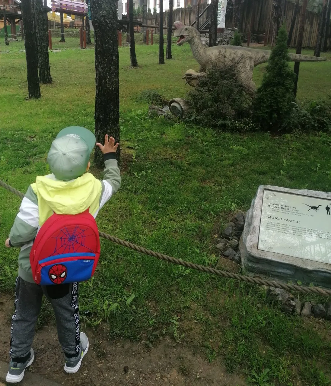 IMG_20220902_161235.jpg