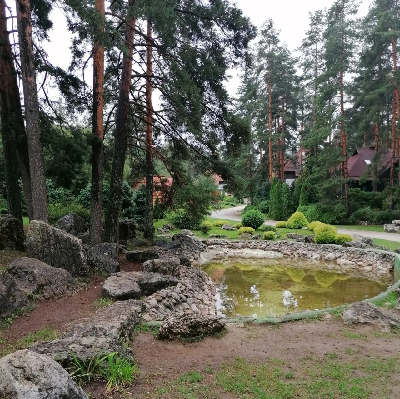 IMG_20220902_164445.jpg