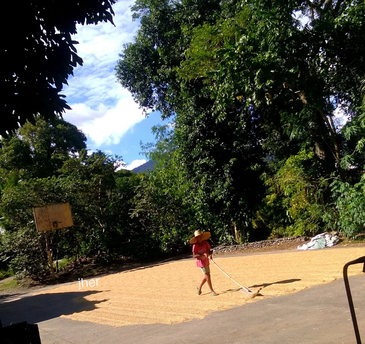 IMG_20221108_163625.JPG