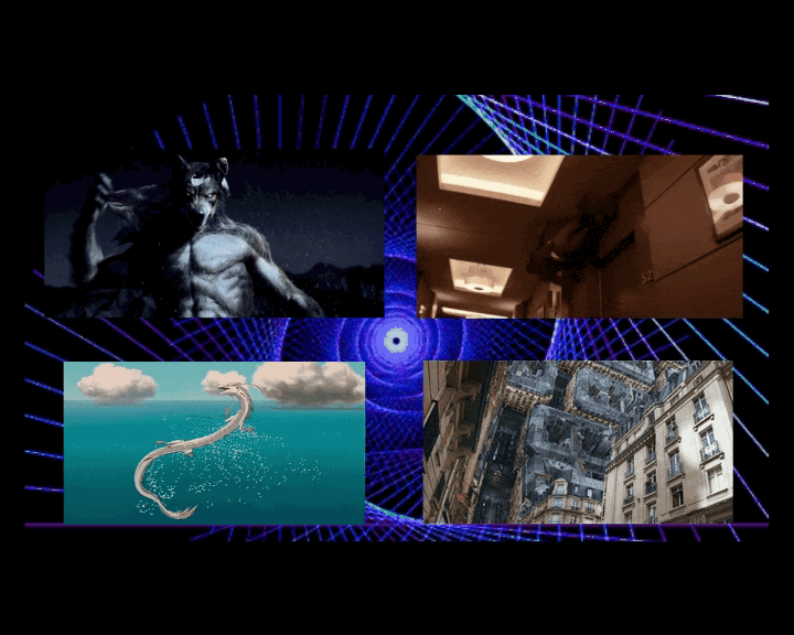 Mi video2.gif