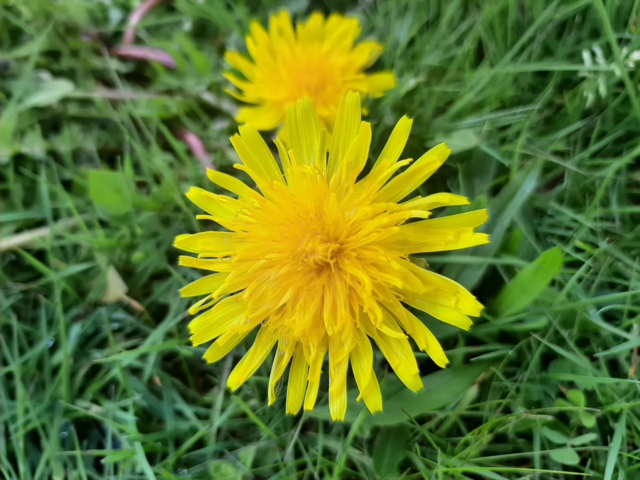 20220410_163151.jpg