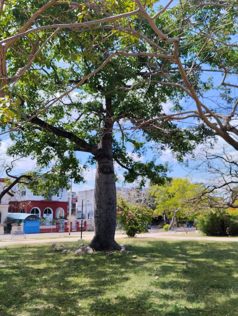 park4.jpg