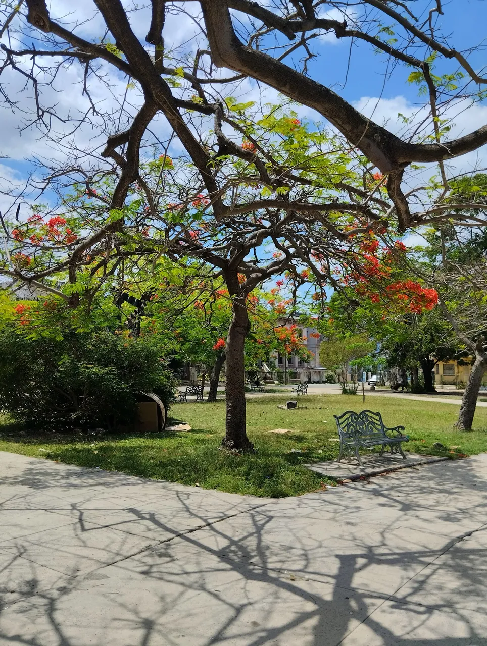 park2.jpg