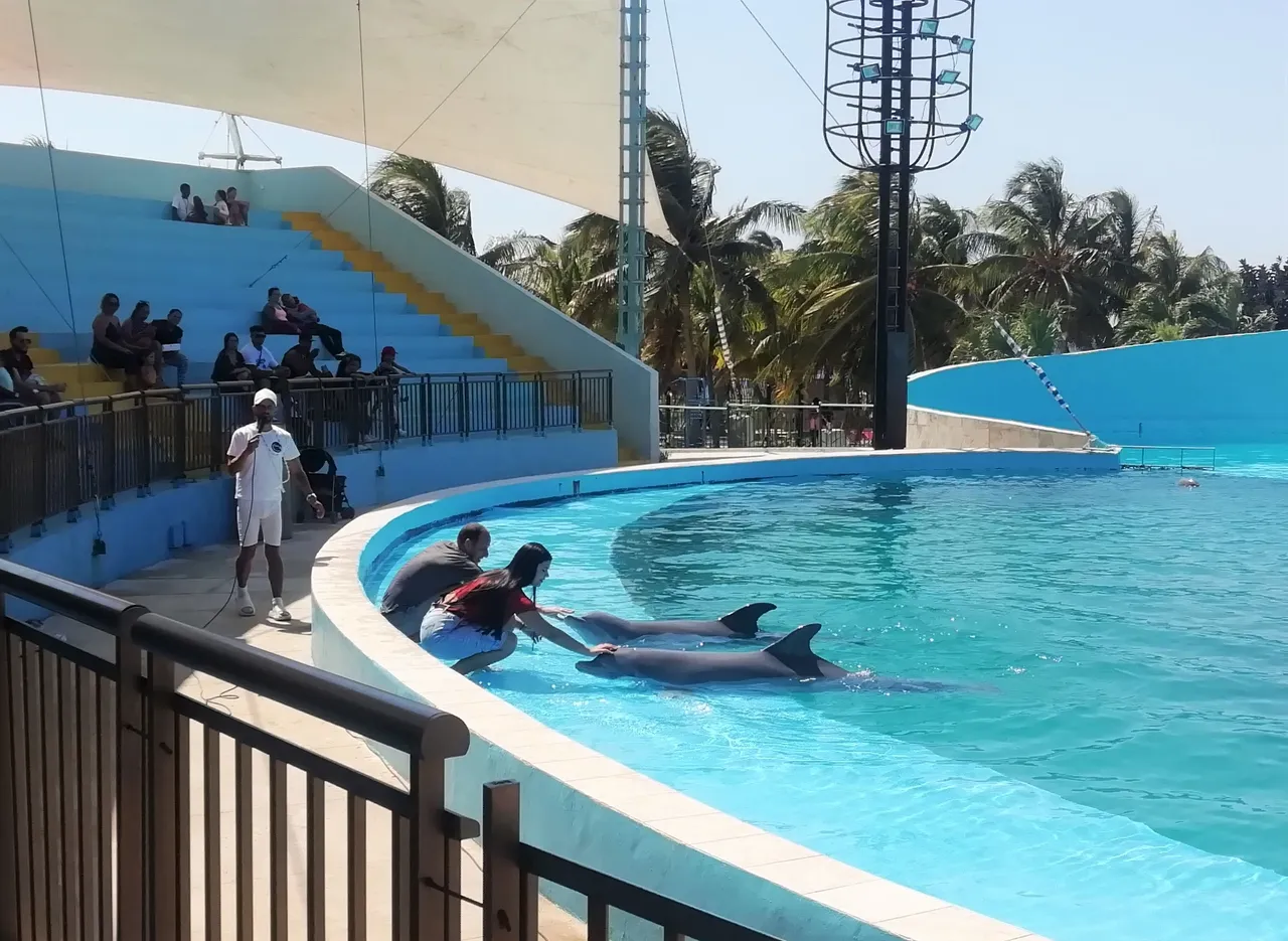 Delfines gente2.jpg