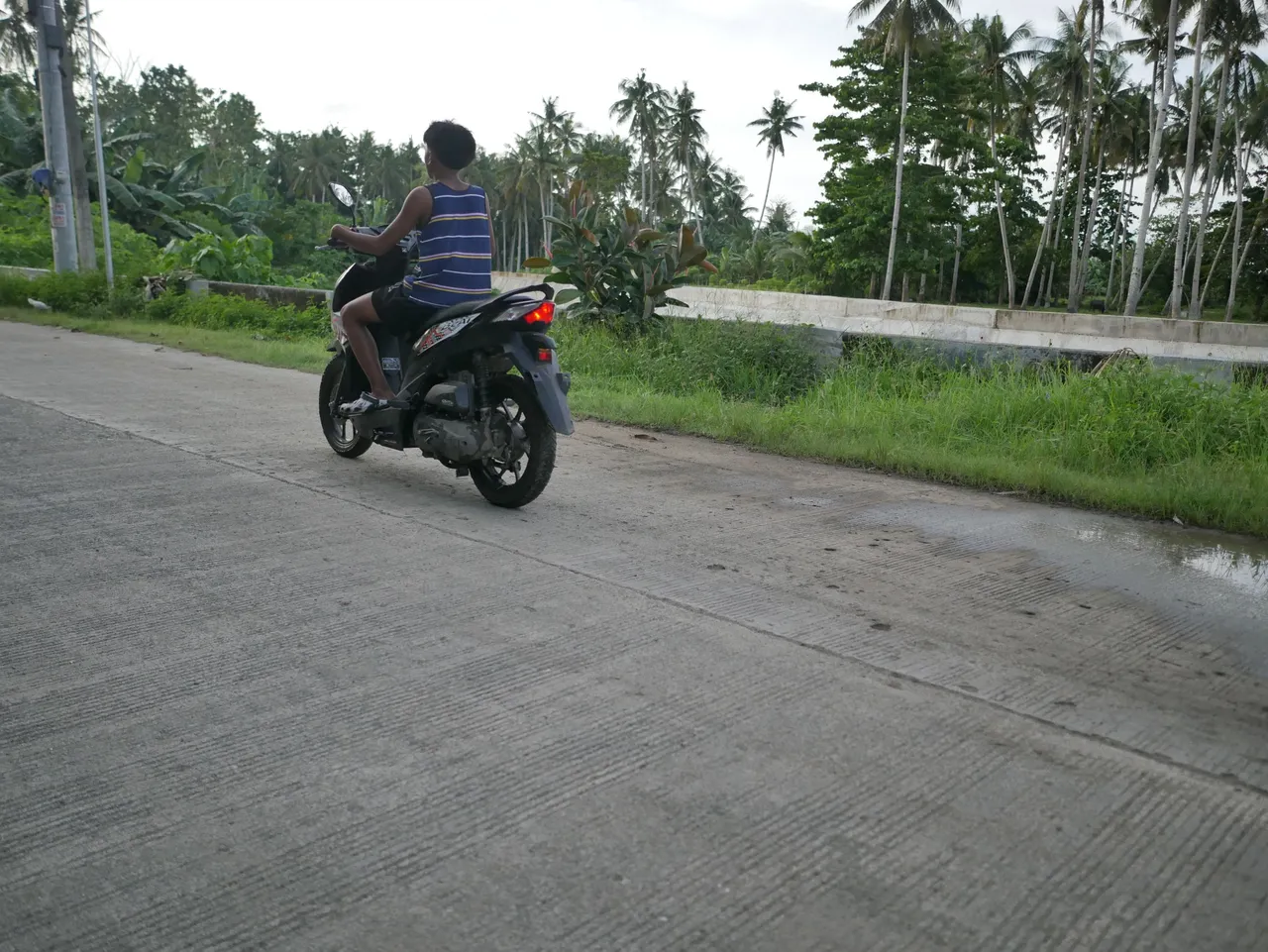 P1760465.JPG