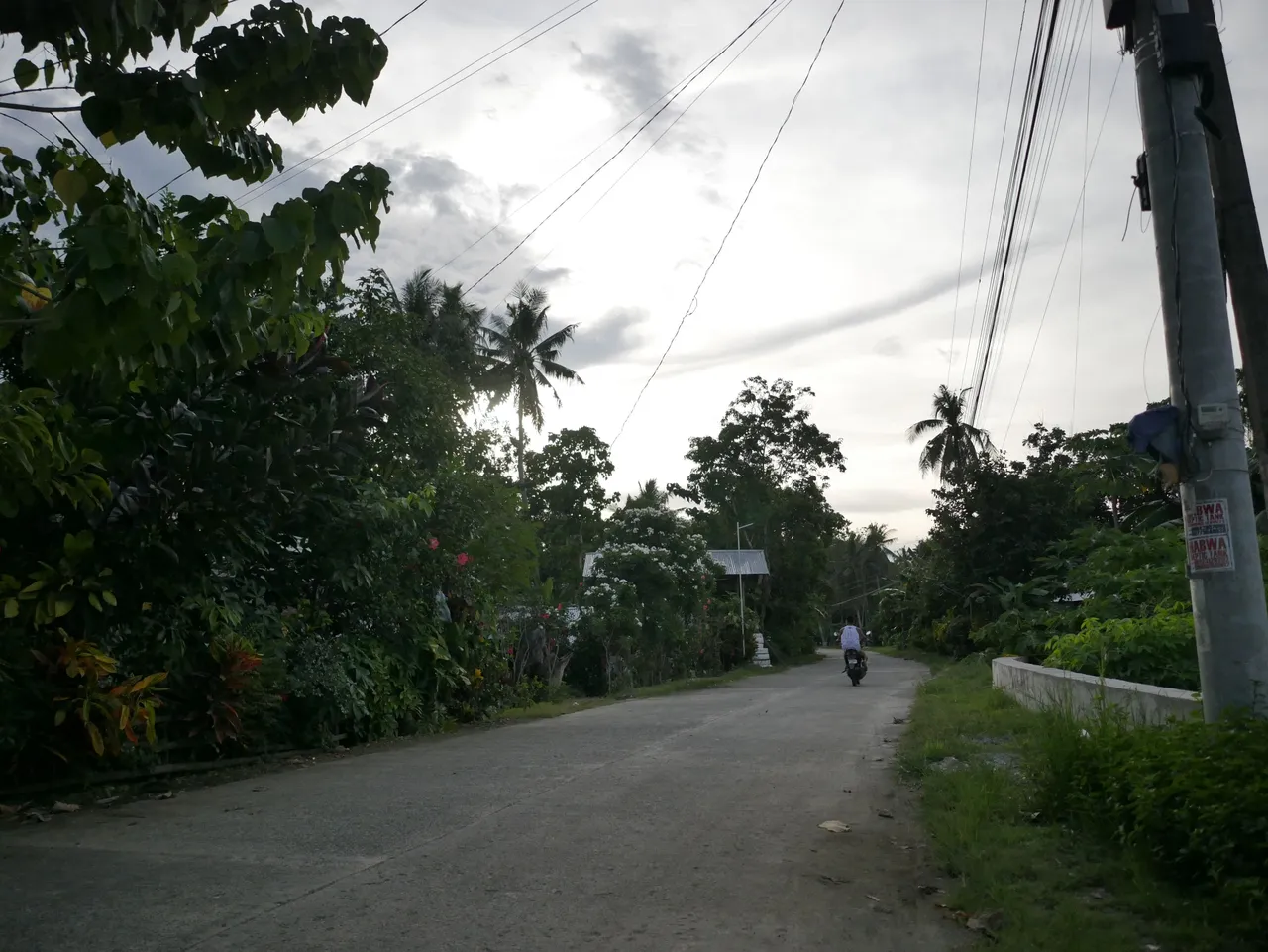 P1760460.JPG