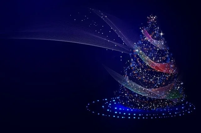 christmas-tree-gaccadd9dd_640.jpg