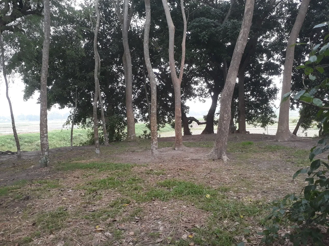 20210609_174846.jpg