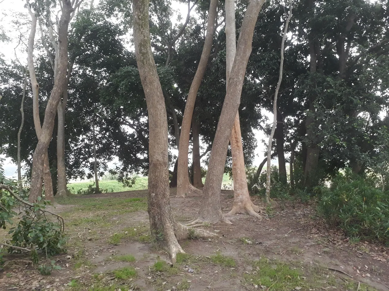 20210609_174918.jpg