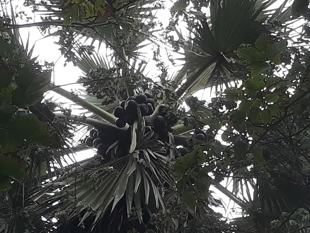 20210609_174838.jpg