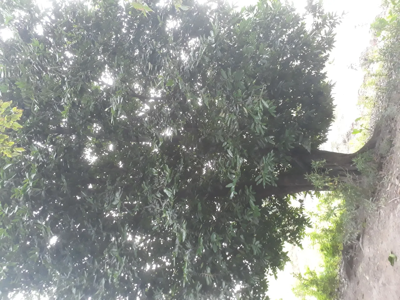 20210609_174803.jpg