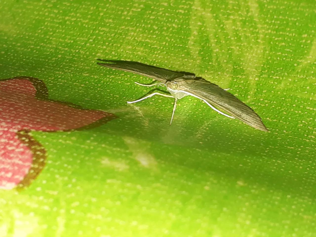 20210917_092443.jpg