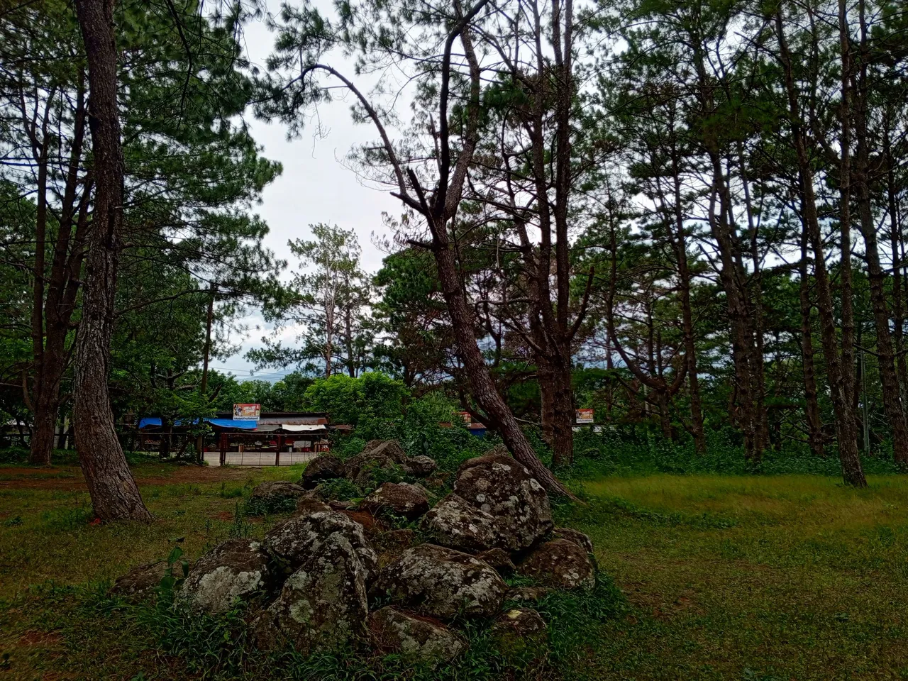 IMG_20240905_130540_129.jpg