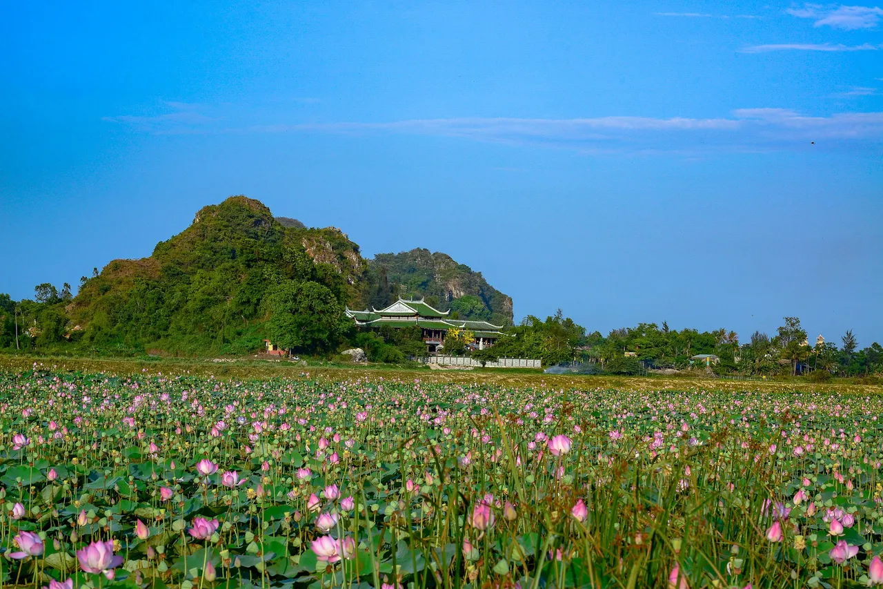 Quê hương_Chốn thanh bình.jpg