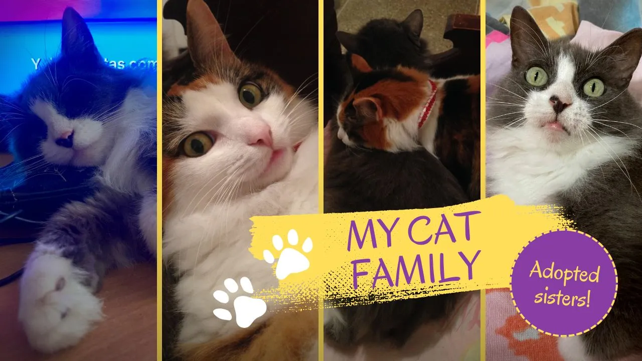 Yellow and Purple Photo Collage Handmade Ideas  YouTube Thumbnail.jpg