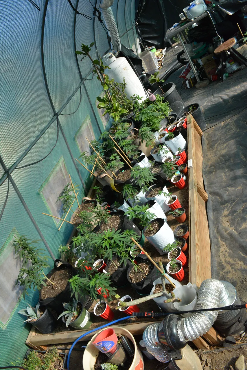 DSC_0030.JPG