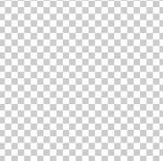 Transparent Background.PNG
