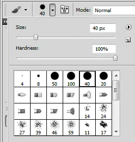 Step 2.1 Brush Size.png