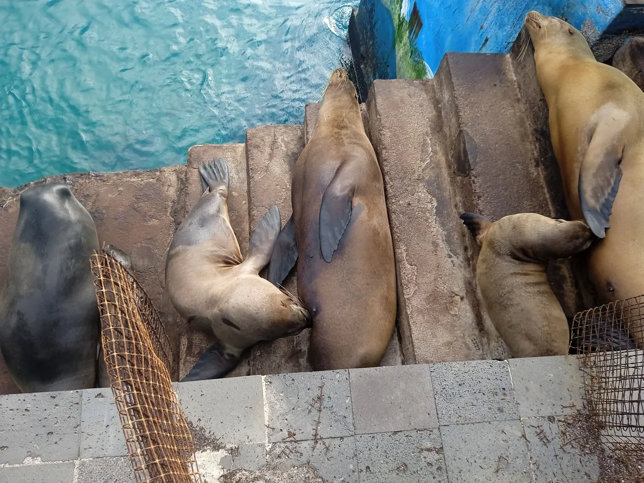 IMG_20250316_080405.jpg