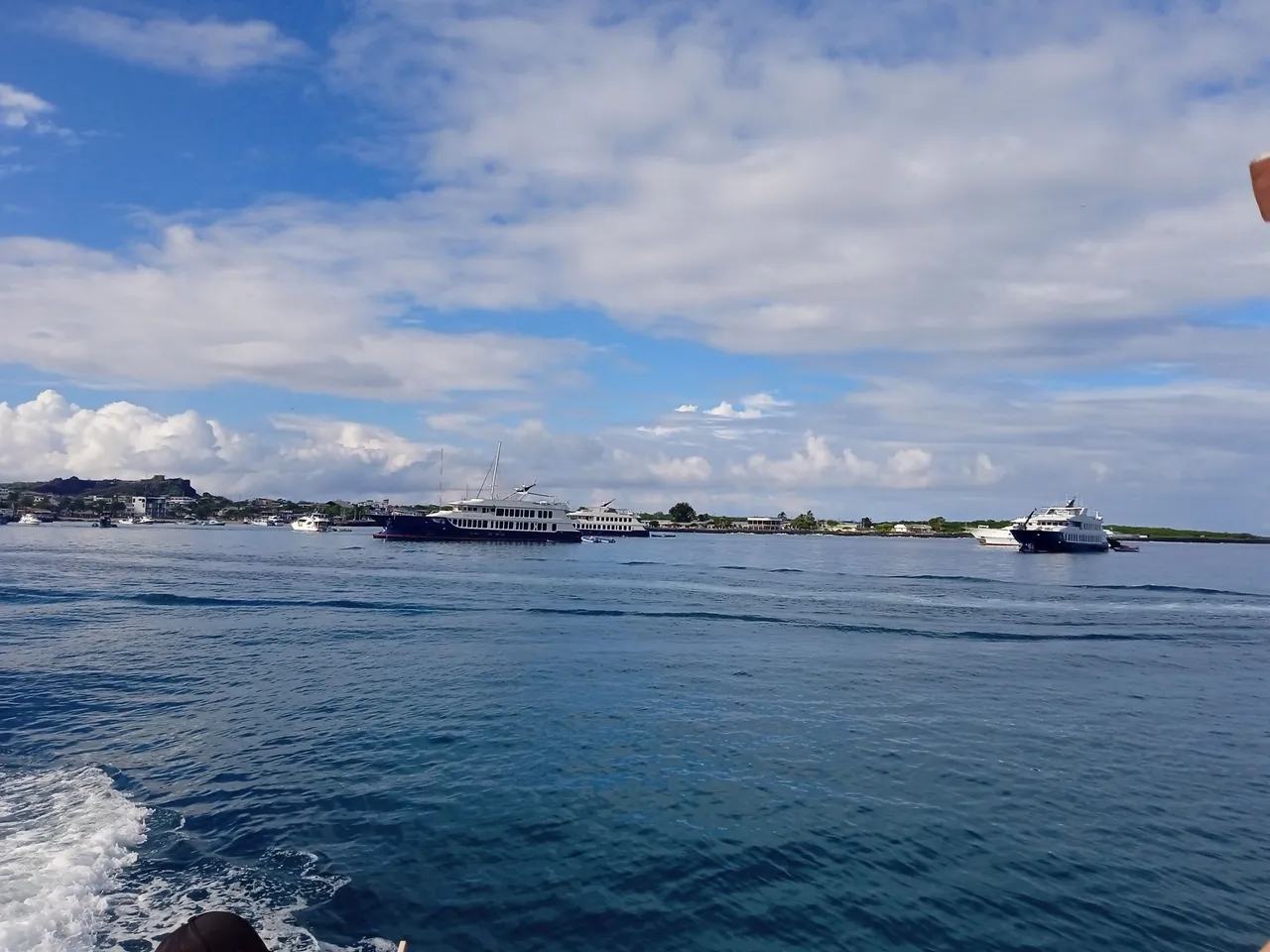 IMG_20250316_081701_1.jpg