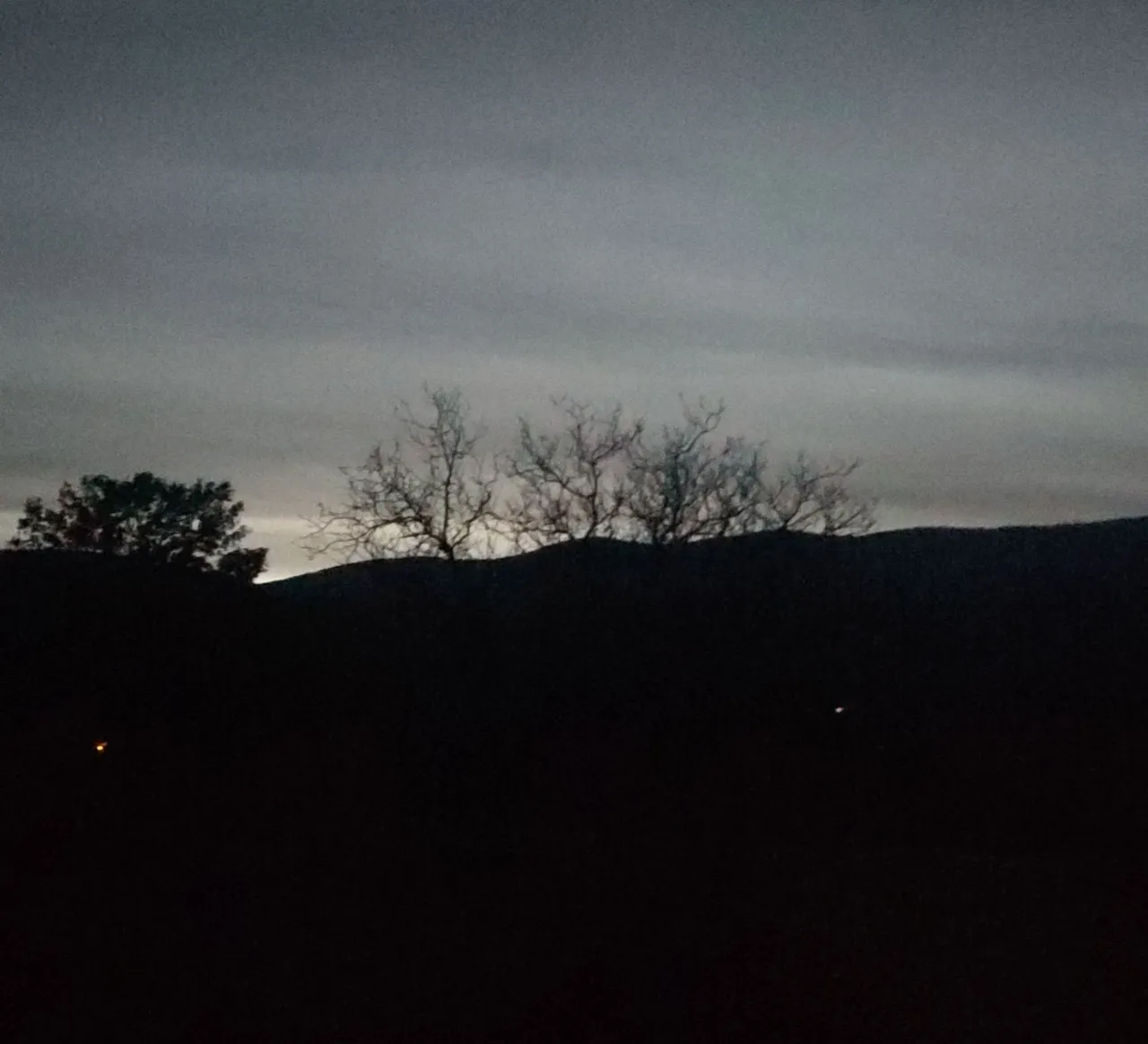 IMG_20230109_022656.jpg