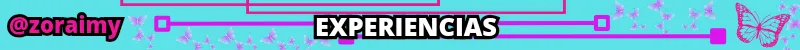 EXPERIENCIAS.png