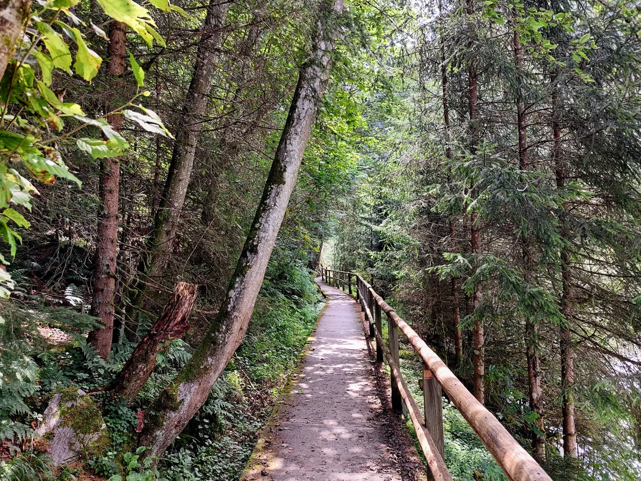 20220805_135849~2.jpg