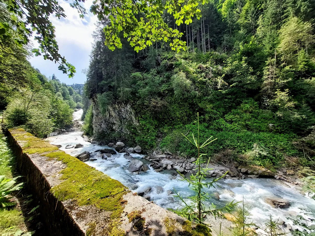 20220805_134838~2.jpg