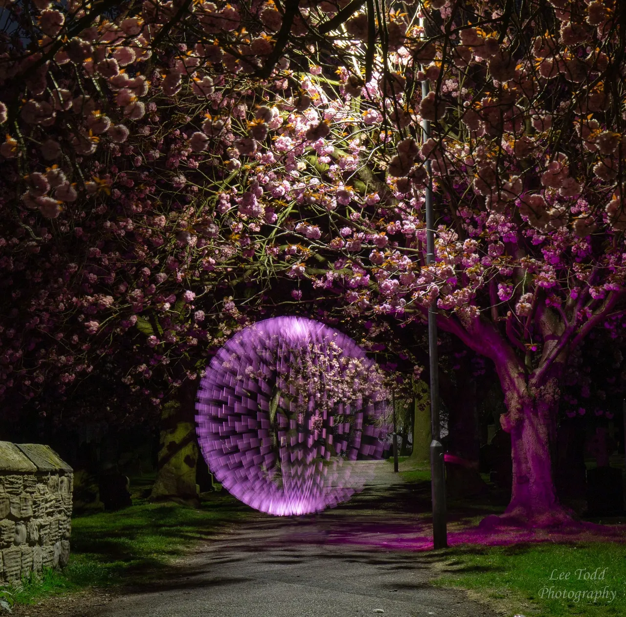 Normanton Church Blossom Orb-8485.jpg