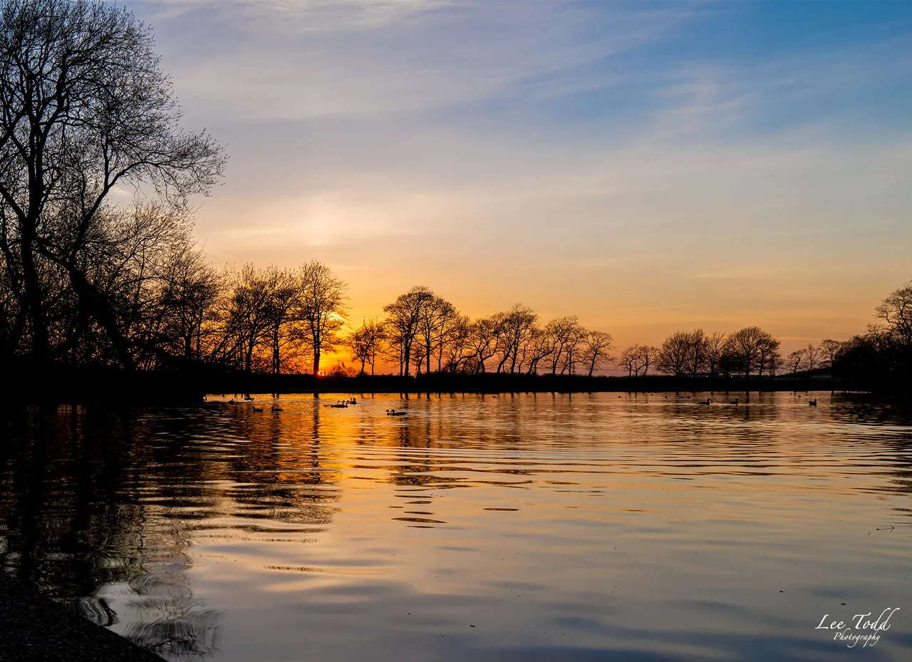 Pontefract Park 2021-4-3-8078-HDR-Edit.jpg