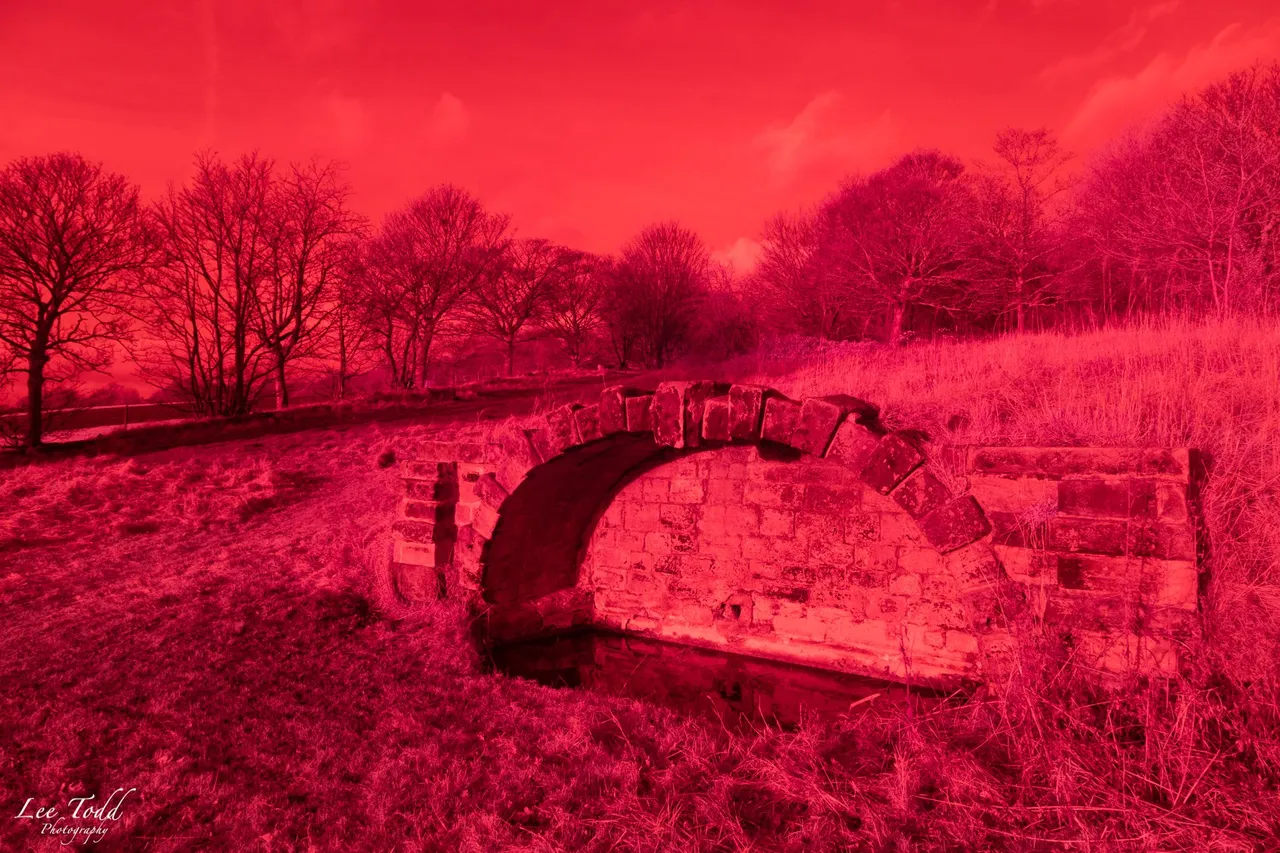 Heath Common Infrared-1387.jpg
