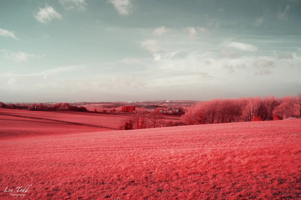 IR Test-1337.jpg