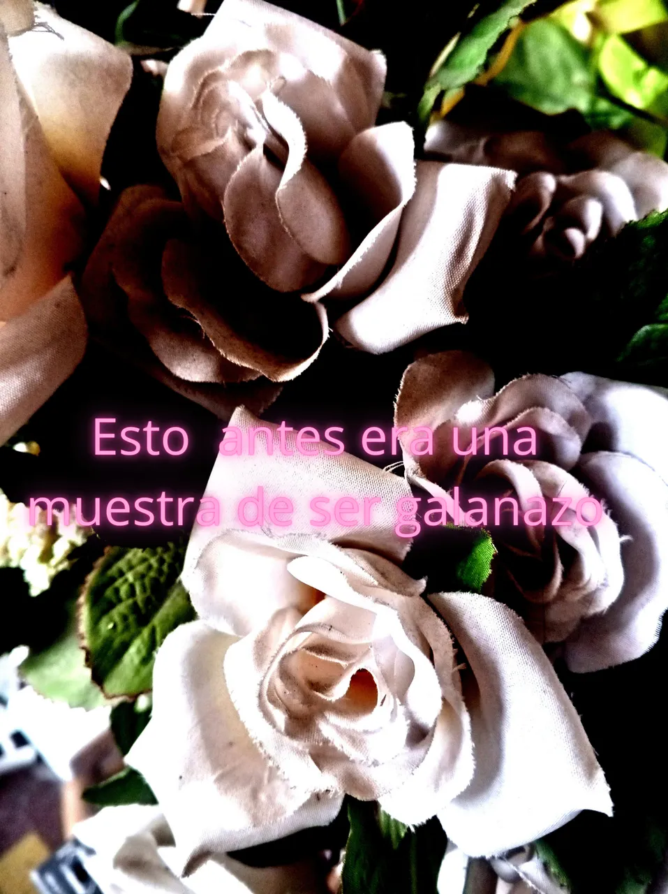 ramos de flores paint.png