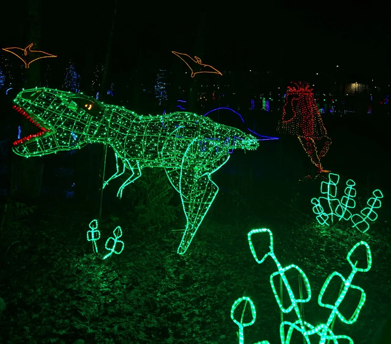 Lake_Christmas_LightsPXL_20241222_024559312.jpg