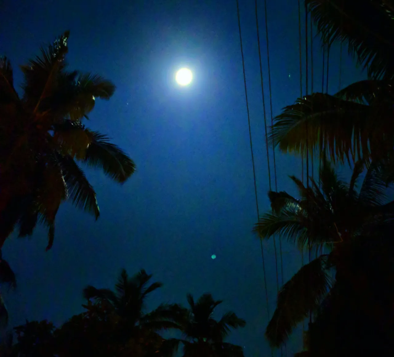 Goa_New_Year30001.jpg