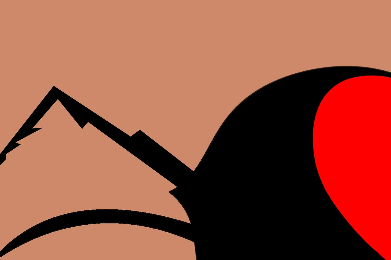 spider.jpg