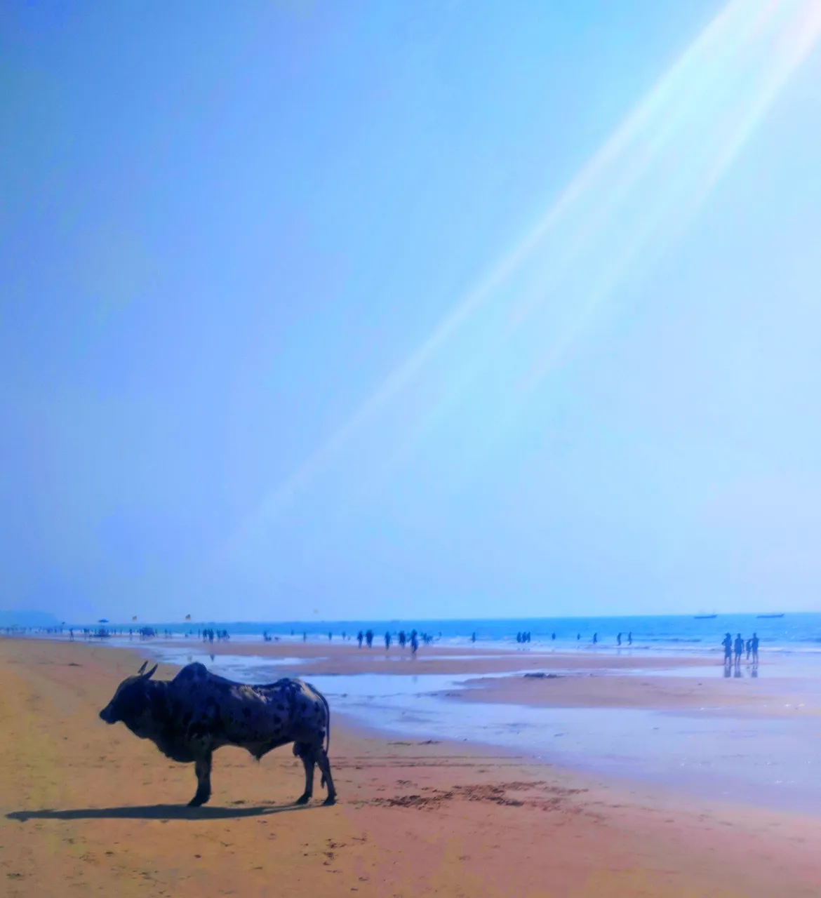 Goa_New_Year30007.jpg