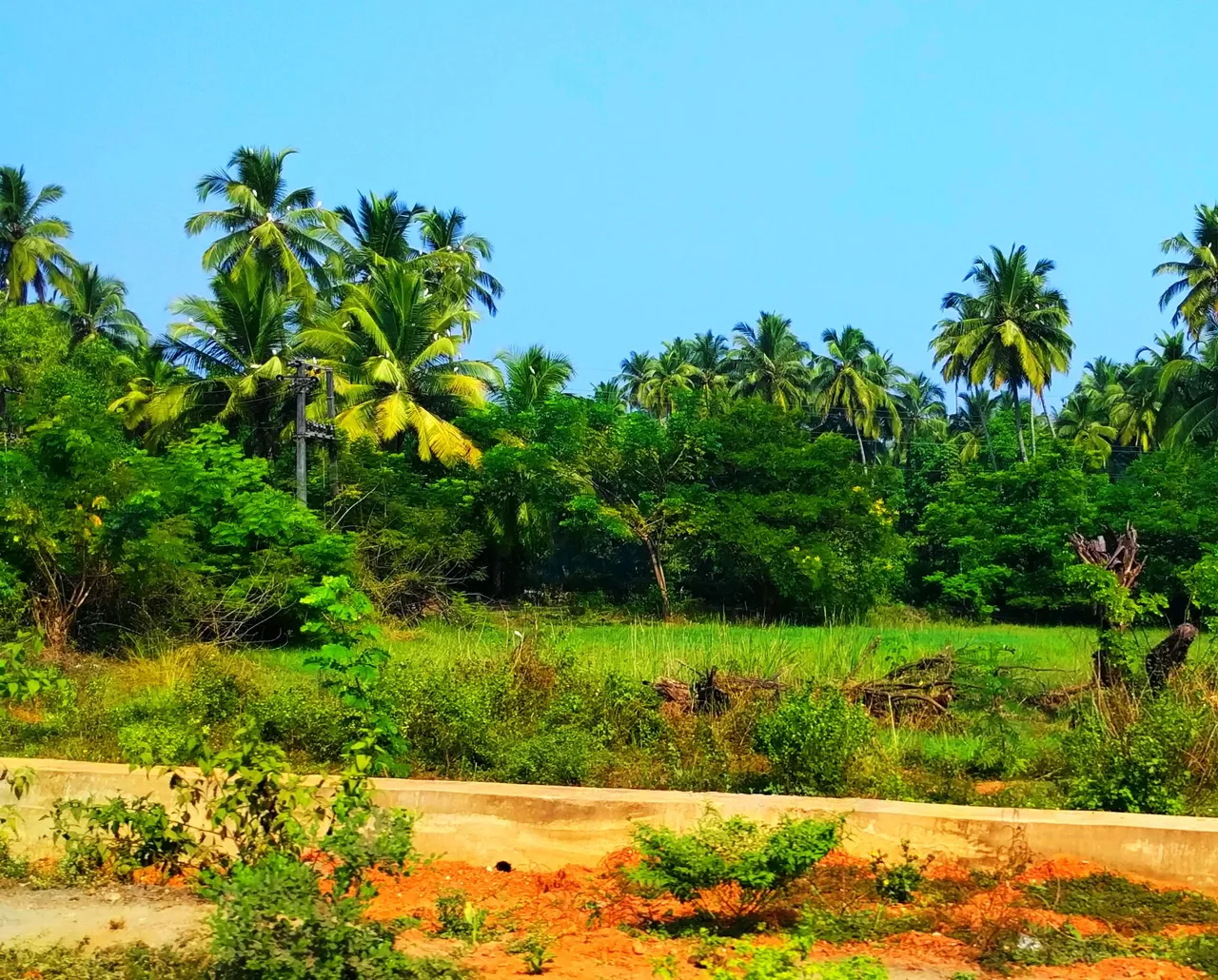 Goa_Vasco_Day_090011.jpg