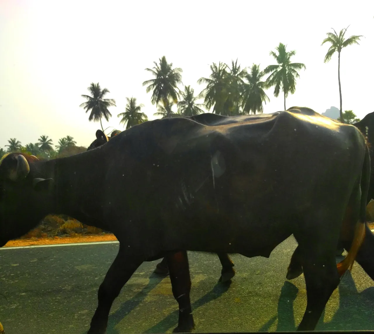 India_Hampi0002.jpg