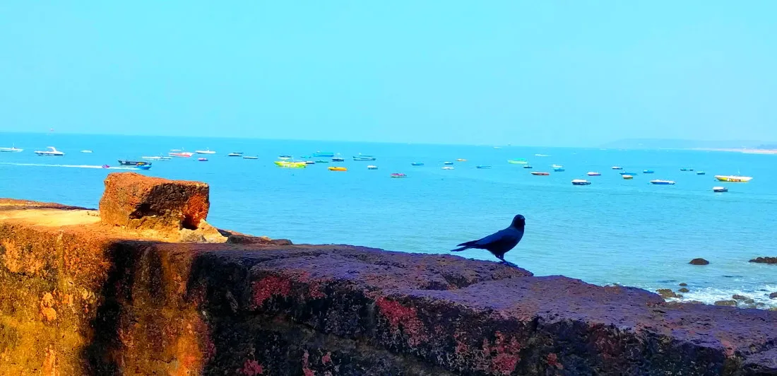 India_Day5_20018.jpg