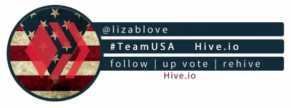 TEAMUSA-hive_footer_blue_liza tiny.jpg