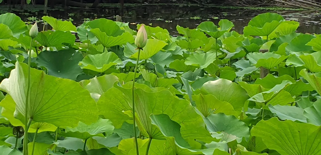 20221027_134209.jpg