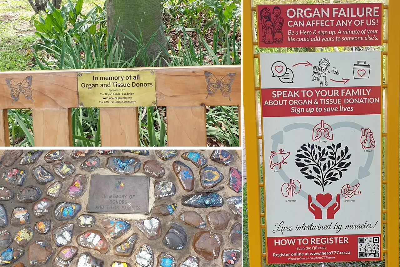 organ donor garden.jpg