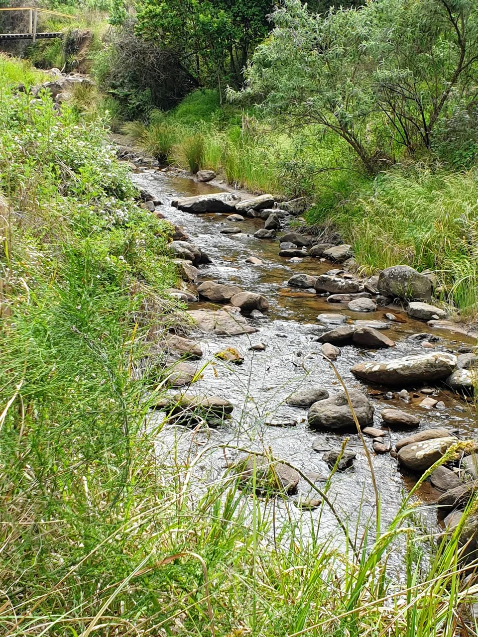 stream 20211111_124757.jpg