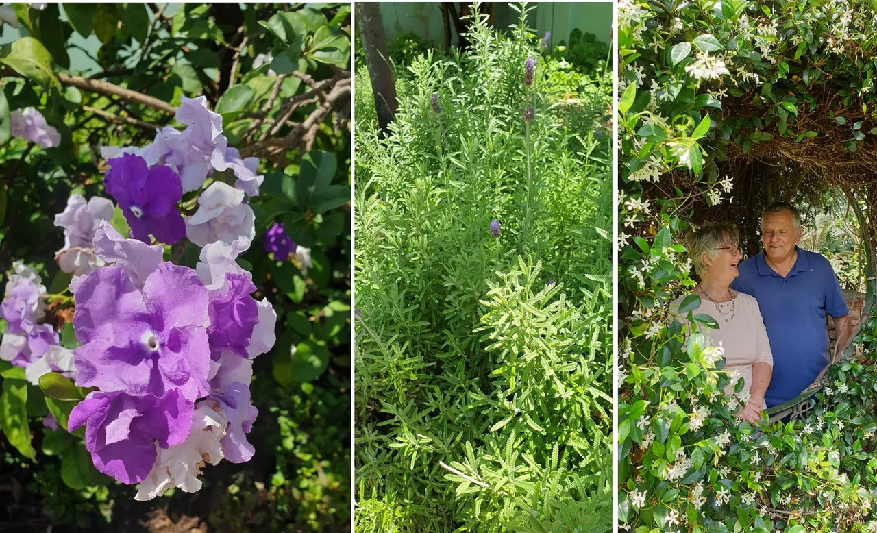 fragrant garden.jpg