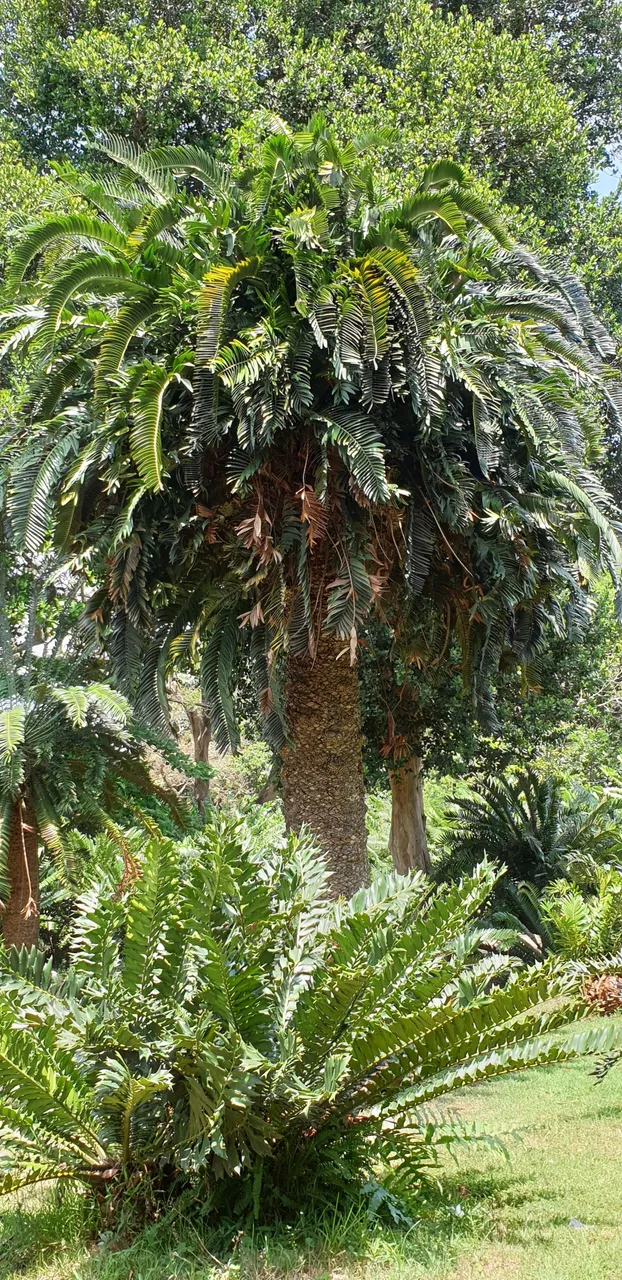 20221027_121026.jpg