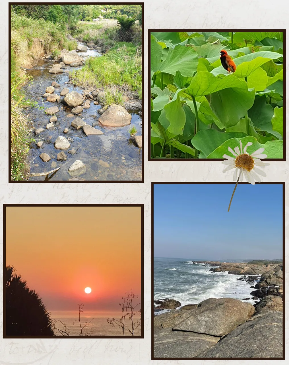 Beige Aesthetic Autumn Photo Collage A4 Document.png